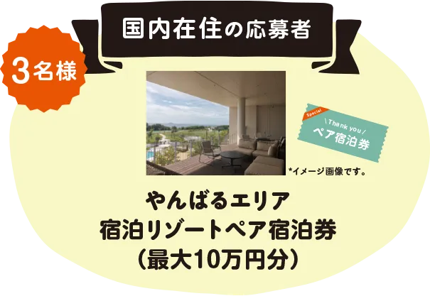 国内在住の応募者 participants in Japan. やんばるエリア宿泊リゾートペア宿泊券（最大10万円分）を3名様にプレゼント